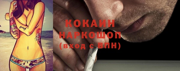 прущий лед Вяземский