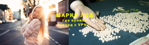 прущий лед Вяземский