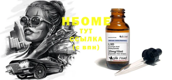 прущий лед Вяземский