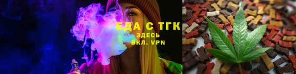 прущий лед Вяземский