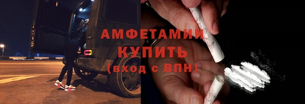 прущий лед Вяземский