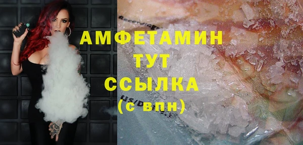 прущий лед Вяземский