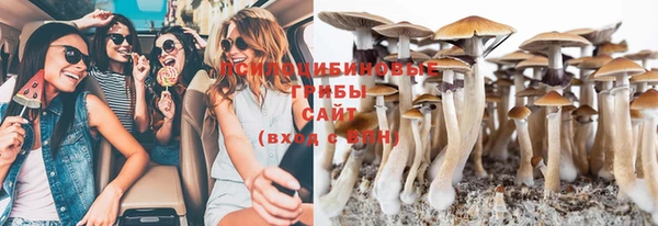 прущий лед Вяземский